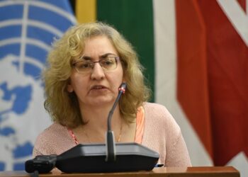 Elizabeth Sidiropoulos, Chief Executive of the South African Institute of International Affairs (SAIIA) (Photo：Twitter(@DIRCO_ZA)）
